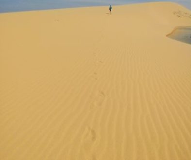In der Wüste Vietnams
