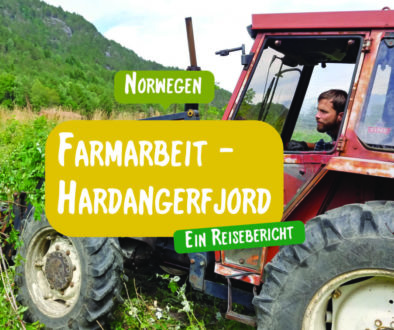 Farmarbeit am Hardangerfjord / Ein Reisebericht aus Norwegen von Reiseeinfachundlebe