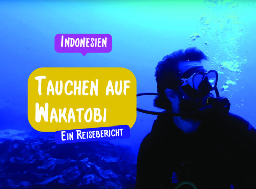 Tauchen auf Wakatobi / Ein Reisebericht aus Indonesien von Reiseeinfachundlebe